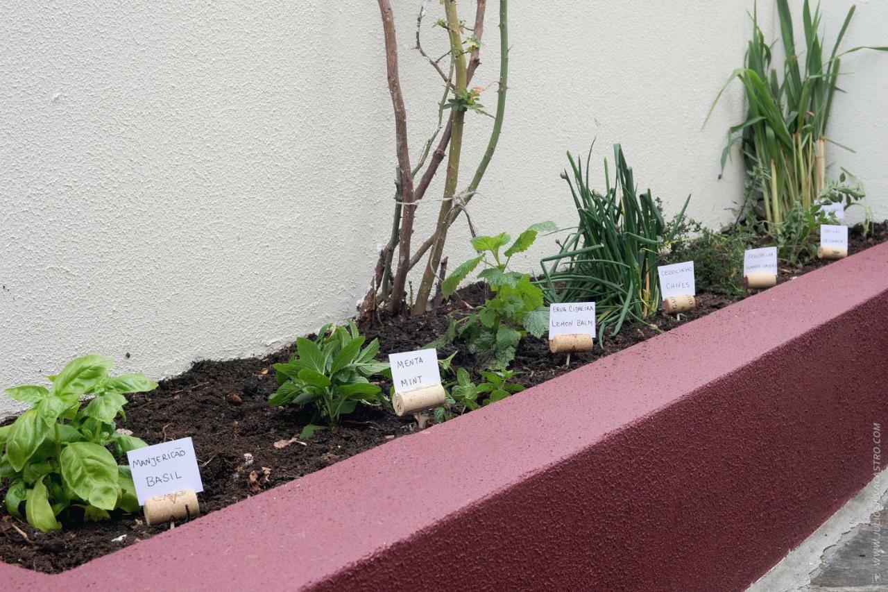 Apartamento Quinta Do Faial Funchal  Kültér fotó